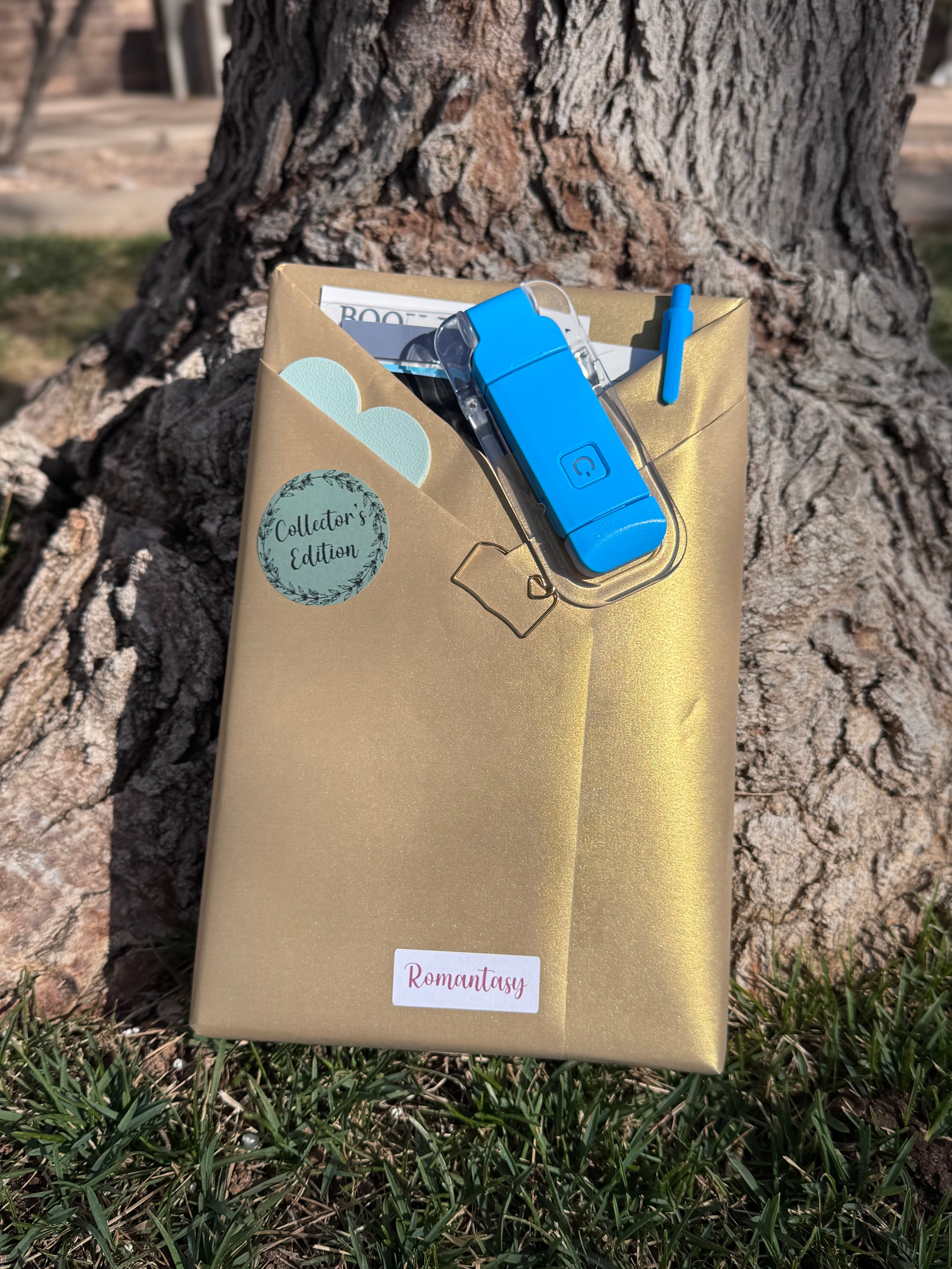 Blind Date with a Book Collector's Edition